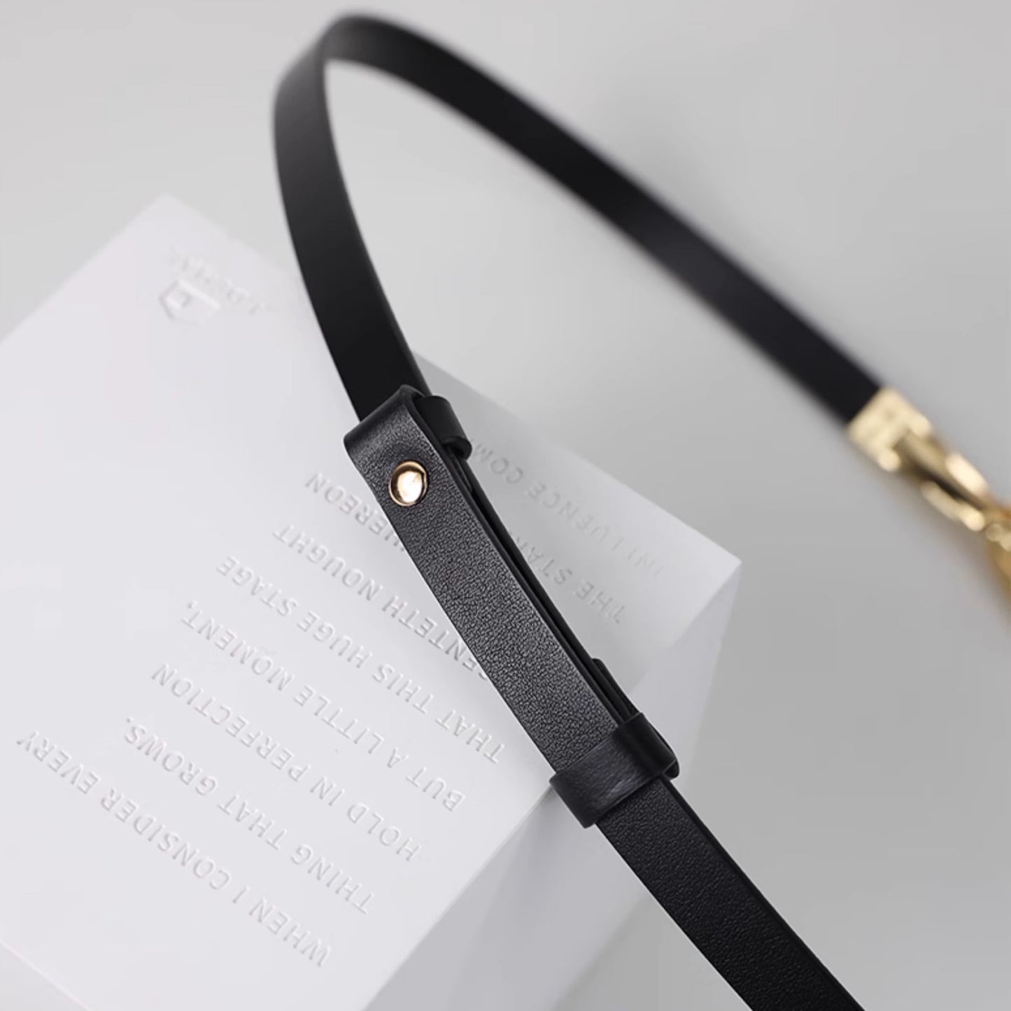 Black leather strap with gold hardware on a white surface