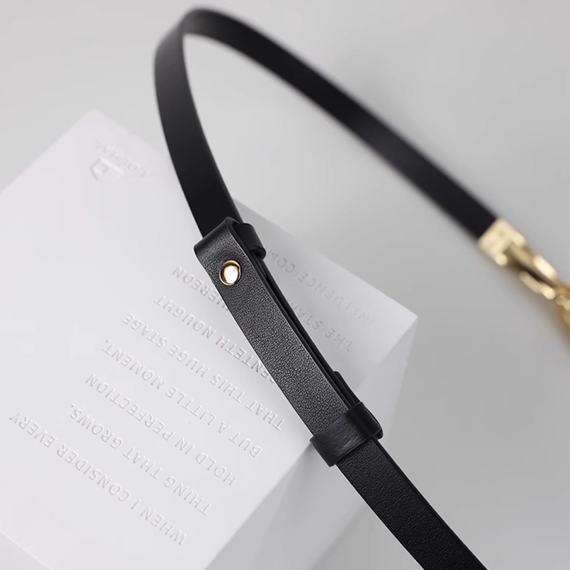 Black leather strap with gold hardware on a white surface
